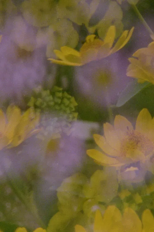 Now and in the time of our death poster