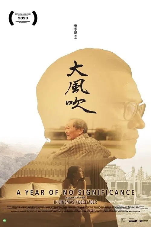 A Year of No Significance poster