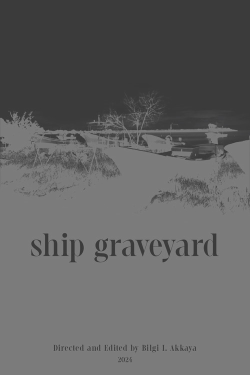 Gemi Mezarlığı poster
