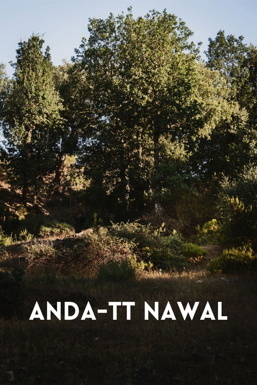 Anda-tt Nawal poster