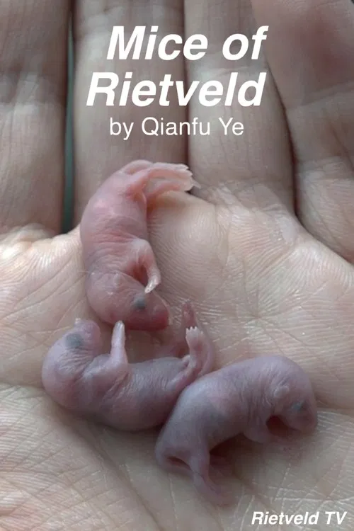 Mice of Rietveld poster