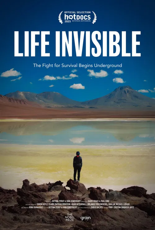 Life Invisible poster