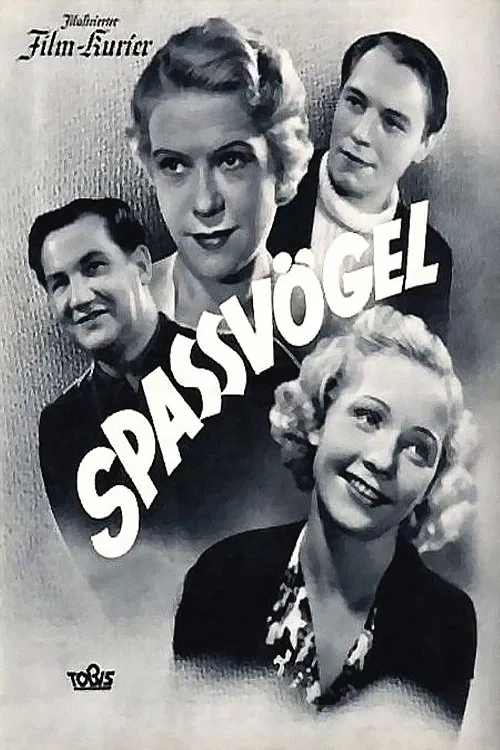 Spaßvögel poster