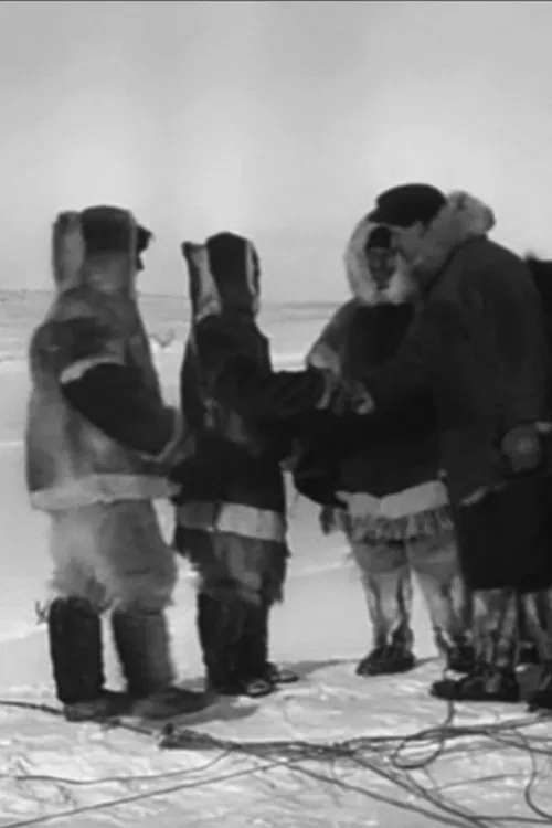 With Dog Sled Through Alaska poster