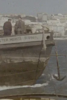 Tráfego e Estiva poster