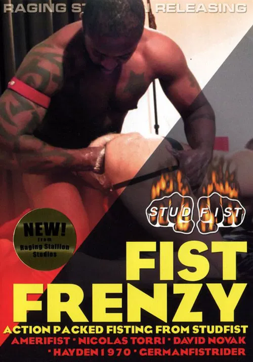 Fist Frenzy poster
