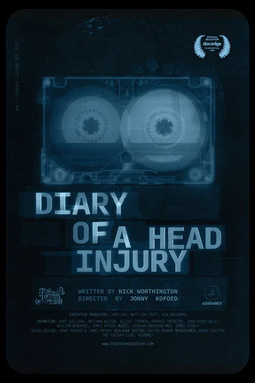 Diary of a Head Injury poster