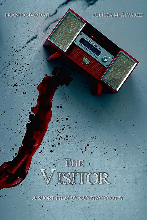 The Visitor poster