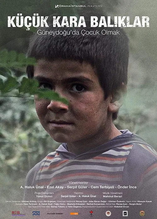 Little Black Fishes poster