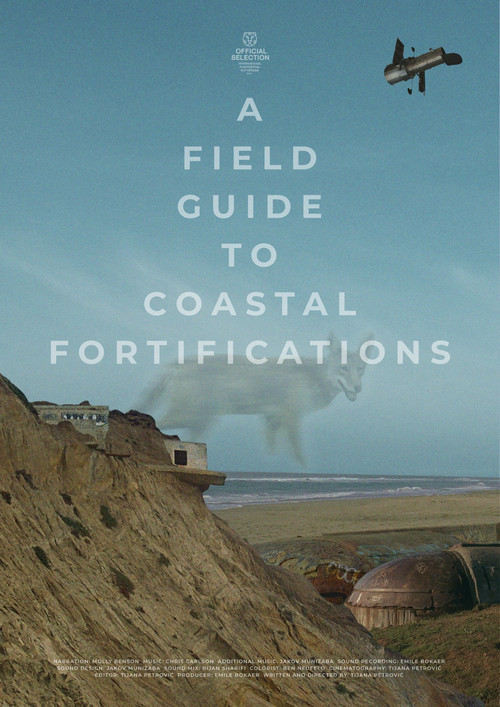 A Field Guide to Coastal Fortifications poster