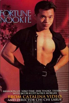Fortune Nookie poster