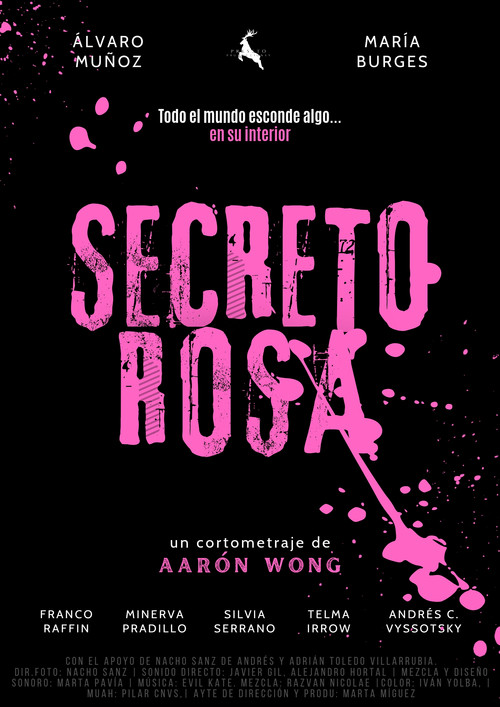 Secreto Rosa poster