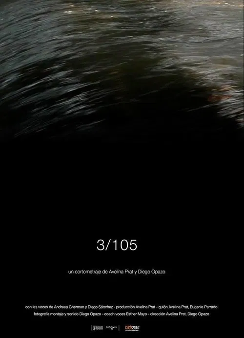 3/105 poster