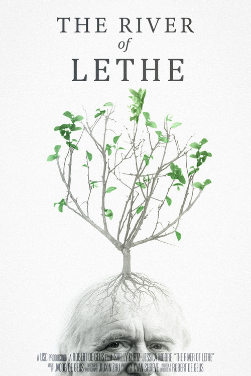 The River of Lethe poster