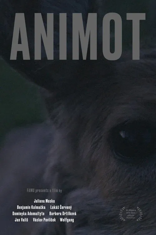 Animot poster