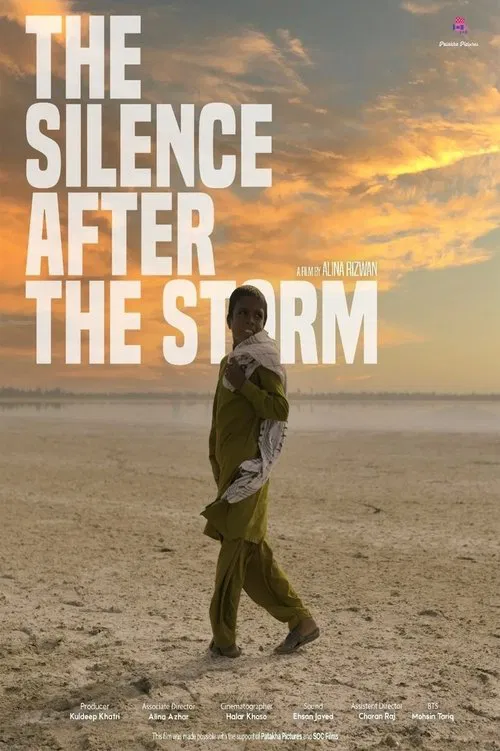 The Silence After The Storm poster