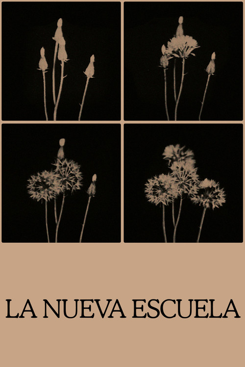 The New School poster