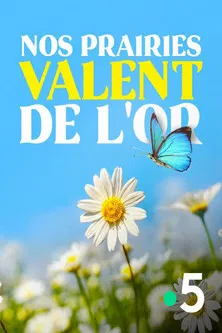 Nos prairies valent de l'or poster