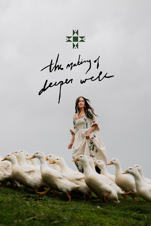the making of deeper well poster