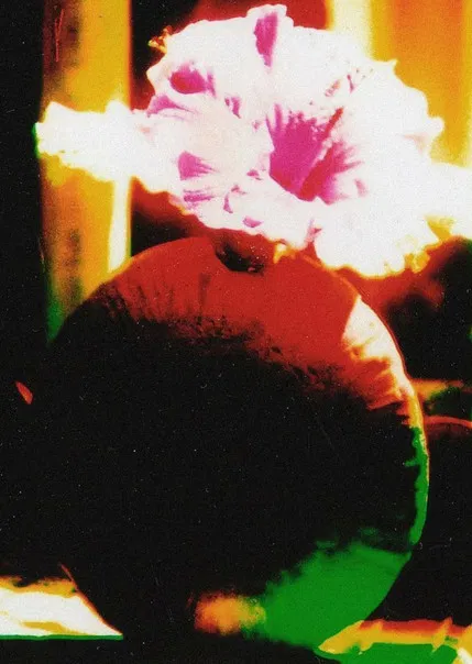 The Room of Chromatic Mystery poster