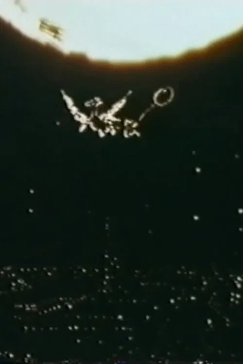 The Guardian Angel poster