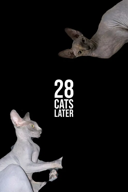 28 Cats Later poster