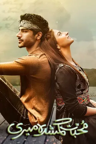 Muhabbat Gumshuda Meri poster