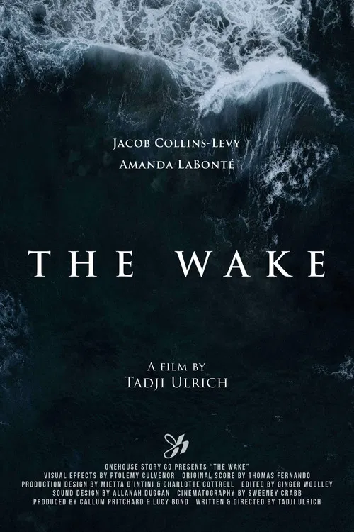 The Wake poster