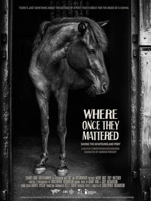 Where Once They Mattered poster