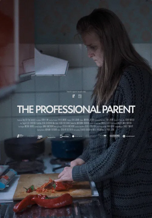 The Professional Parent poster