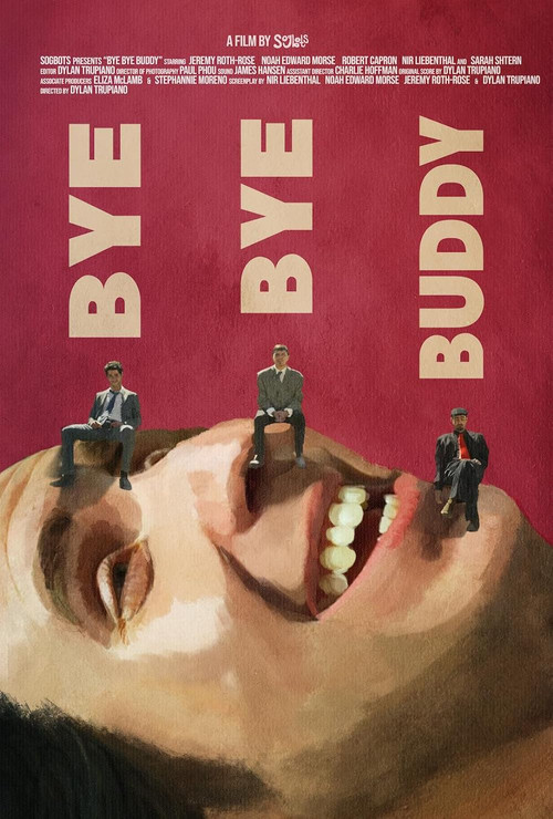 Bye Bye Buddy poster