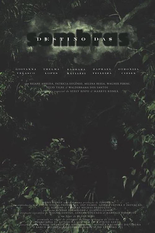 Destino das Sombras poster
