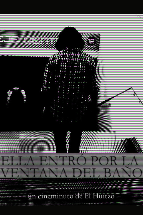 She came in through the bathroom window poster