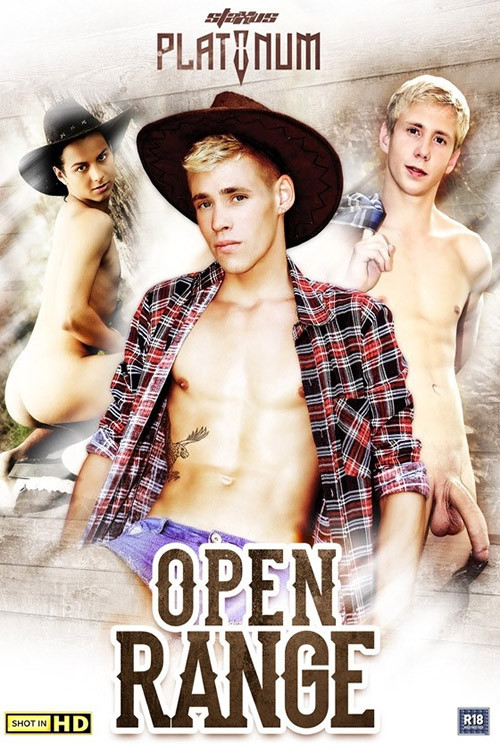 Open Range poster
