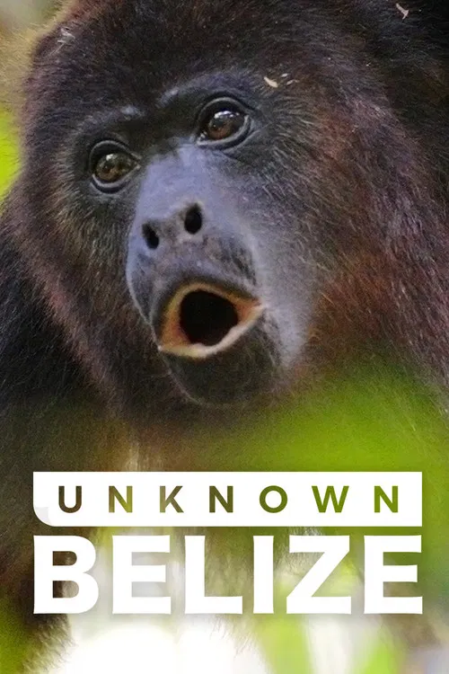 Unknown Belize poster