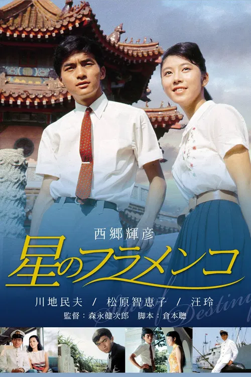 Star of Destiny poster