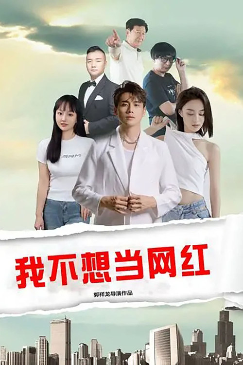 我不想当网红 poster