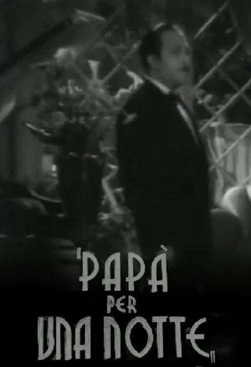 Papà per una notte poster