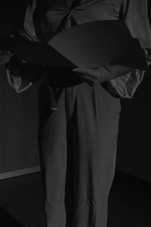 The Horse Head Incident poster