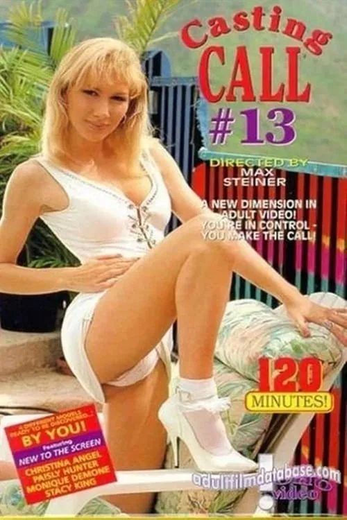 Casting Call 13 poster