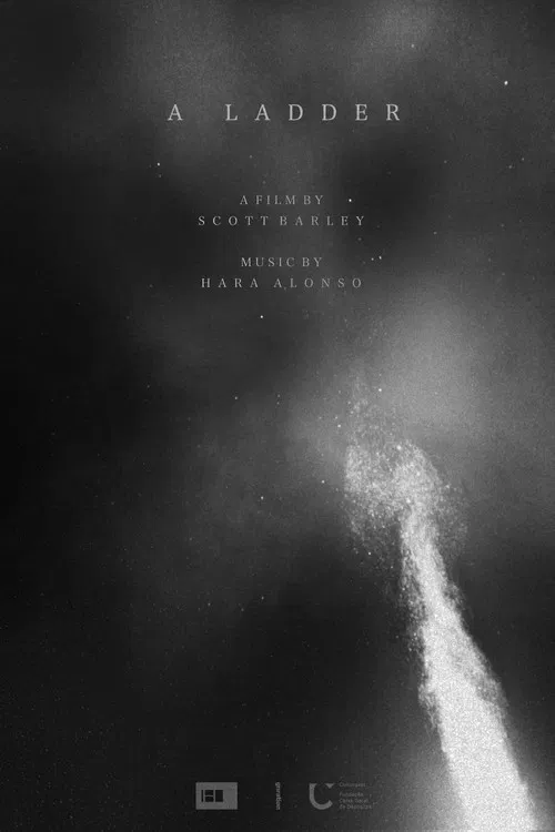 A Ladder poster