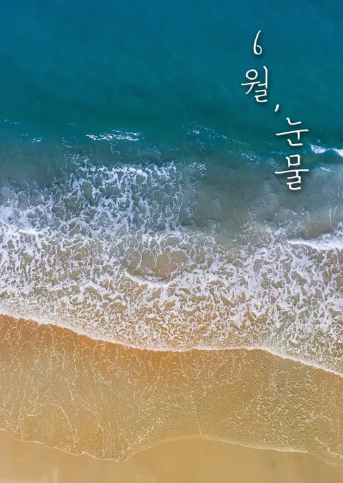 Tears in June poster