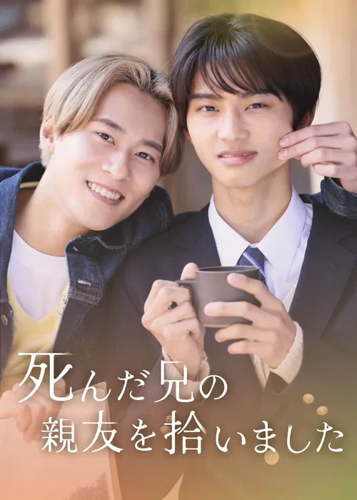 I Picked Up My Dead Brother’s Best Friend poster