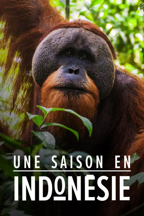 Une saison en Indonésie poster