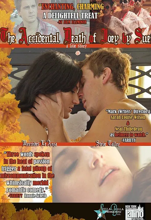 The Accidental Death of Joey by Sue poster