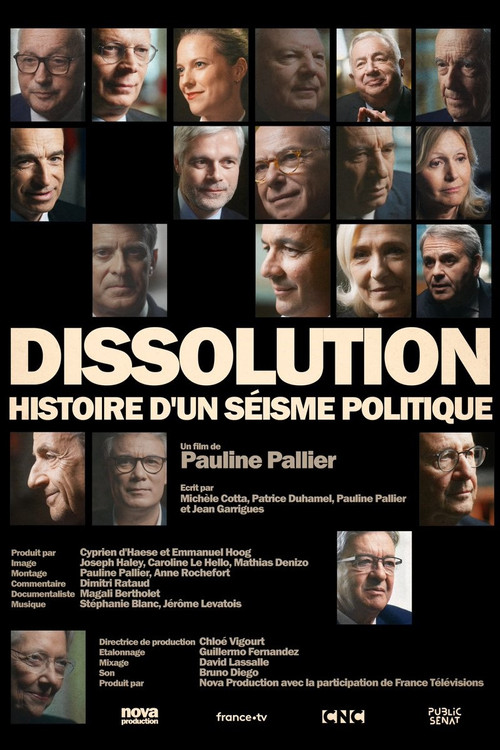 Dissolution, histoire d'un séisme politique poster