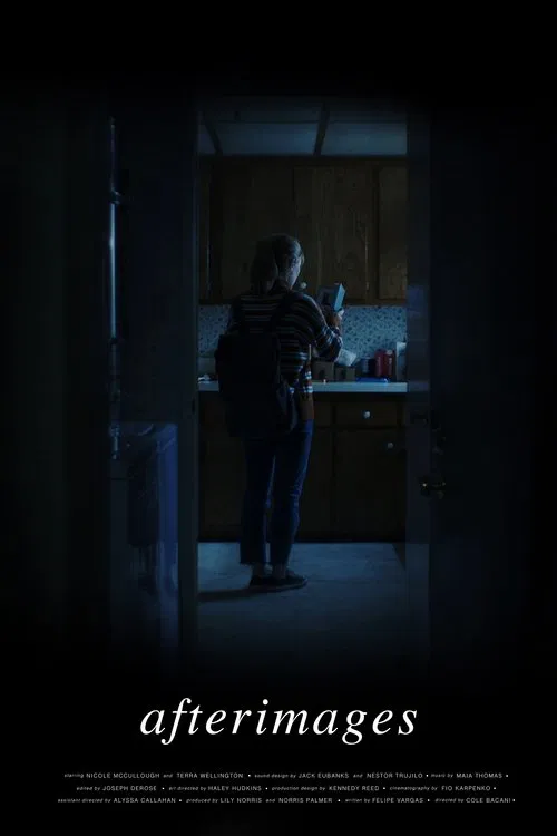 Afterimages poster