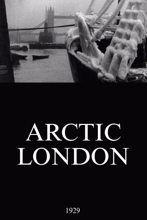 Arctic London poster
