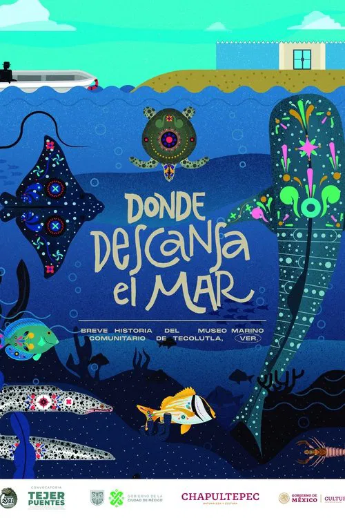 Donde descansa el mar: Breve historia del Museo Marino Comunitario de Tecolutla poster