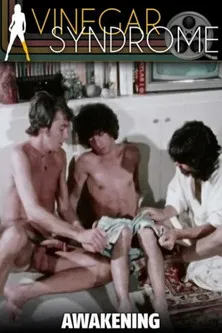 The Awakening poster